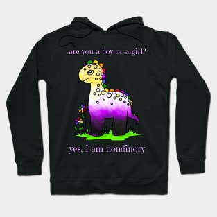 Yes, I'm nondinory! Hoodie